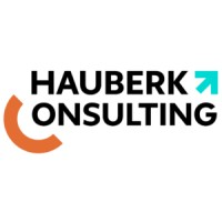 Hauberk Consulting