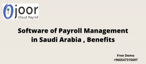 Software of Payroll Management in Saudi Arabia , Benefits